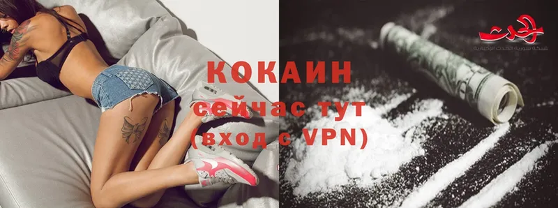 Cocaine VHQ  Камышлов 