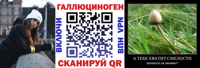 Галлюциногенные грибы Magic Shrooms  купить   OMG ссылка  Камышлов 