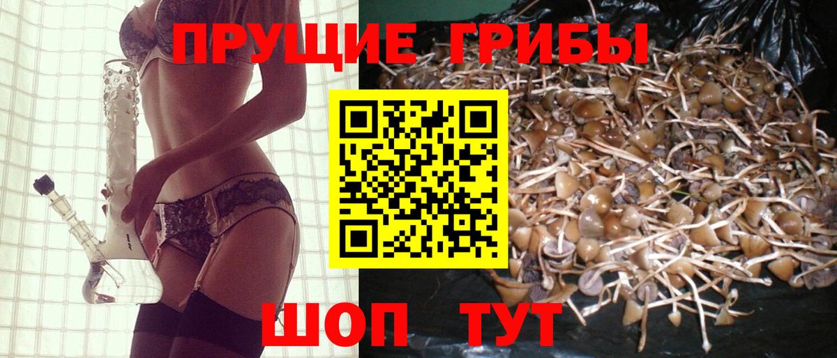 Галлюциногенные грибы Magic Shrooms Камышлов
