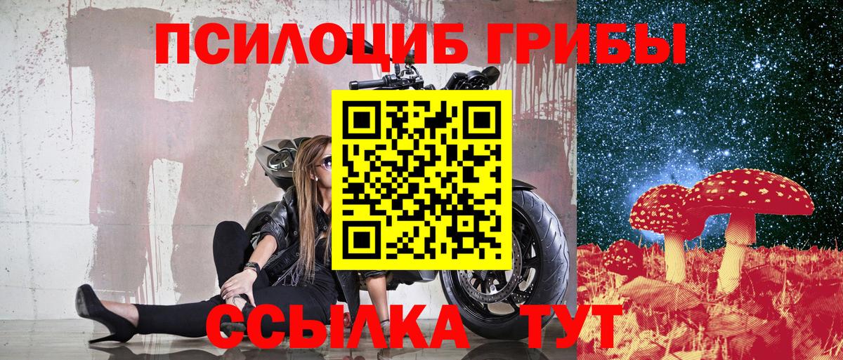 Камышлов  Галлюциногенные грибы прущие грибы  Вход с VPN 