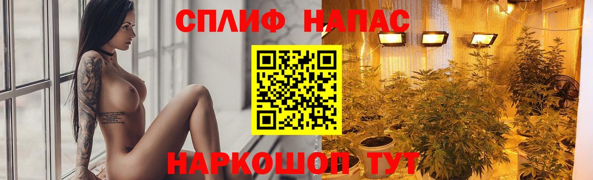 Шишки марихуана Amnesia Камышлов